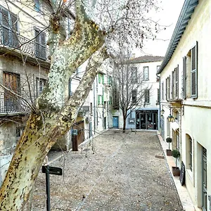 studios-entre-le-pont-d-avignon-et-le-palais-des-papes.aixenprovencehotels.org/